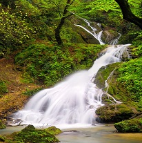 طبيعت ايران